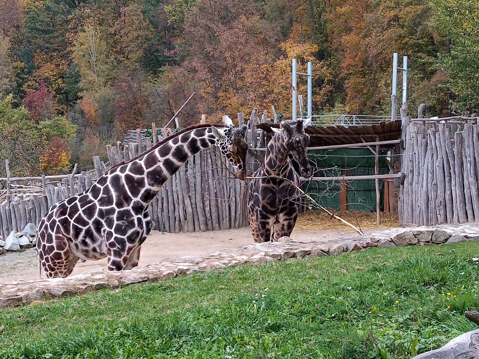 ZOO_Jihlava_a [1600x1200]