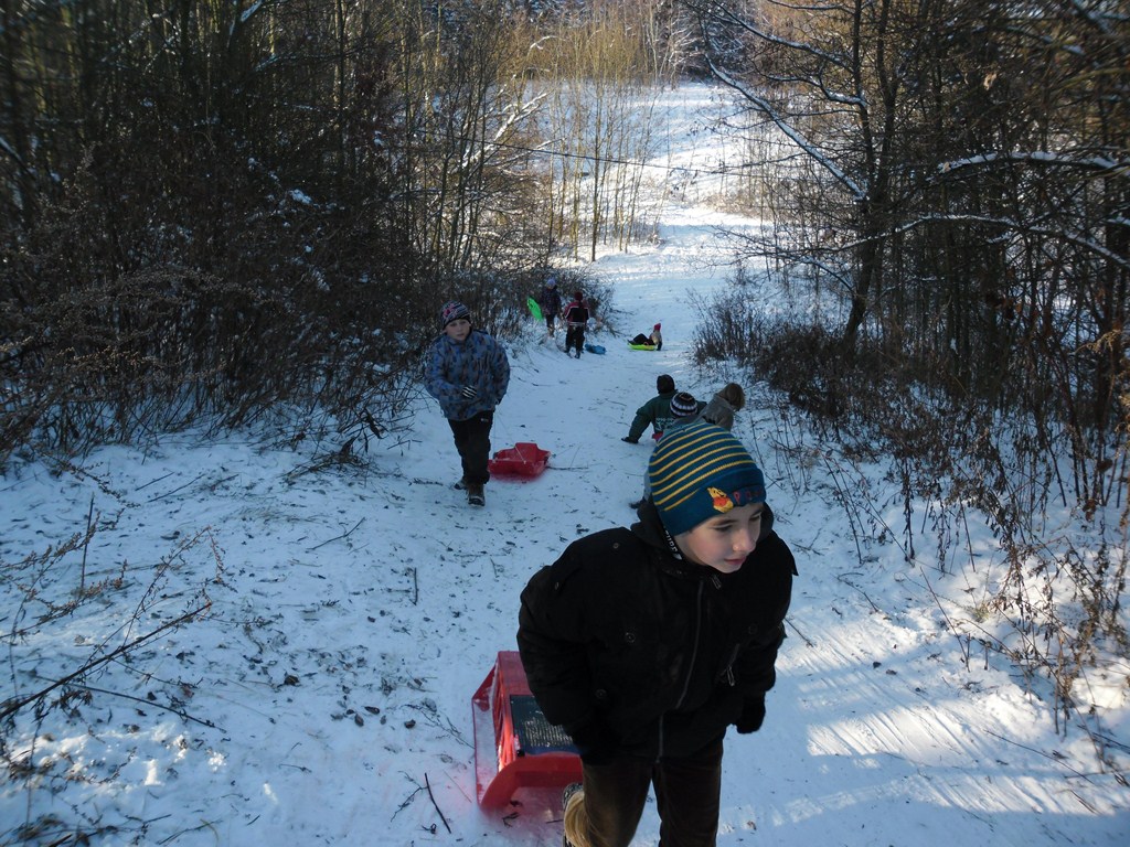 Konečně zima (9)